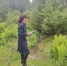 Расследование уголовного дела продолжается. - Новгородские Ведомости