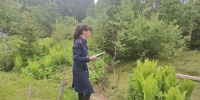 Расследование уголовного дела продолжается. - Новгородские Ведомости