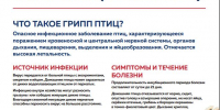 Месячник «СТОП ГРИПП»: защита птицеводства - Администрация Наро-Фоминского г.о.