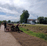 благоустройство общественной территории возле городского парка - фото - 4 - Руднянский район