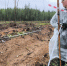 Полевой сезон все ближе к завершению - Рослесозащита Республики Коми