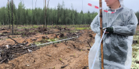Полевой сезон все ближе к завершению - Рослесозащита Республики Коми