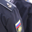 В Волгограде задержали мужчину за хищение участка на 1 млн - Газета Городские вести
