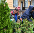 В Тамбове приводят в порядок городские цветники - OnlineTambov.Ru