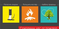 В Калмыкии ввели запрет на посещение лесов - Интернет-газета Степные вести
