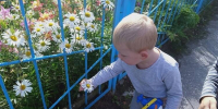 В Мурманской области предложено учредить День многодетной семьи - Мурманский вестник