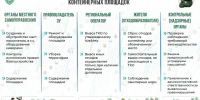 Госэконадзор Ленинградской области объяснил, кто отвечает за содержание контейнерных площадок - Online47.Ru