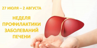 Неделя профилактики заболеваний печени: бережём важный орган - Газета Мой Край