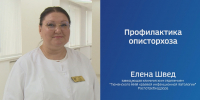 "Вести. Актуально": описторхоз - ГТРК Регион-Тюмень