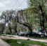 57864 - Сетевое издание Арбуз
