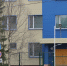 В Апатитах проводят проверку после травмирования собаки - SeverPost.ru
