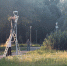 Фотофакт: В одном из парков Пскова монтируют новое освещение - Pln-Pskov.Ru