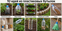 Не выбрасывайте пластиковые бутылки: вот 10 способов, как применить их с пользой на кухне и в огороде - Pro Город Ухта