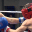 World Boxing допустил российских спортсменов к участию с флагом и гимном в международных турнирах - tvspb.ru - ТК Санкт-Петербург