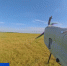 орланы.mp4_snapshot_00.35.988.jpg - ГТРК Кострома