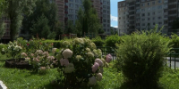 В Великом Новгороде выявили самые благоустроенные дворы, территории и балконы - 53news.Ru