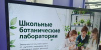 «Школьные ботанические лаборатории» В Твери - Tver24.Com
