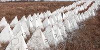 Дело о «зубах дракона» завершилось: бывшие белгородские чиновники получили до 20 лет колонии - 9 Канал Старый Оскол