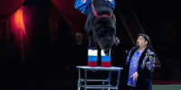 МА выступление.jpg - 1000inf.ru