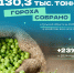 130 тысяч тонн гороха собрали в Тульской области за год - ТК Первый Тульский