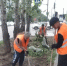 В Благовещенске обновили более 16 тысяч квадратных метров газонов - ИА Порт Амур