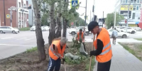 В Благовещенске обновили более 16 тысяч квадратных метров газонов - ИА Порт Амур