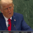 Трамп сообщил о достижении соглашения о полном разоружении ХАМАС - Петербургский дневник
