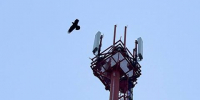 Российская базовая станция от МТС накрыла LTE старинное сибирское село в Приангарье - Baikal24.Ru