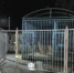 Медведь откусил часть руки сотруднице зоопарка в Приморье - Teleport2001.Ru