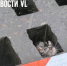 Выходные во Владивостоке будут облачными и с дождём - NewsVl.Ru