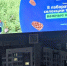 В лаборатории - только важные шишки! Молодые исследователи Университета Решетнёва участвуют в федеральном проекте «Наука рядом» - СибГУ им. М.Ф. Решетнева