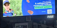 В лаборатории - только важные шишки! Молодые исследователи Университета Решетнёва участвуют в федеральном проекте «Наука рядом» - СибГУ им. М.Ф. Решетнева