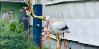 Платная клиника в Костроме отказалась делать аборты по желанию пациенток - Kostroma.Today