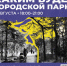 Тематическое фото Мэрия Магадана - MagadanMedia.Ru