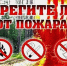 На территории муниципального образования Тымовский муниципальный округ введено ограничение на пребывание граждан в лесах и въезда в них транспортных средств - Агентство лесного и охотничьего хозяйства