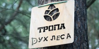 «Алтайская правда»: в Барнауле проложили пешеходную тропу «Дух леса» - АГМУ