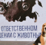 Система ответственного обращения с животными без владельцев - Нижнетавдинский район