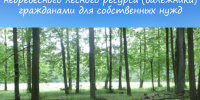 КАК ПРАВИЛЬНО СОБИРАТЬ ВАЛЕЖНИК?. - Куменский район