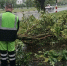32 мм осадков выпало в Дзержинске во время урагана 30 июля - Нижегородская правда