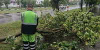 32 мм осадков выпало в Дзержинске во время урагана 30 июля - Нижегородская правда