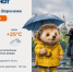 Грозы сменяются теплотой солнца: погода в Воронеже на три дня - Bloknot-Voronezh.Ru