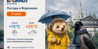 Грозы сменяются теплотой солнца: погода в Воронеже на три дня - Bloknot-Voronezh.Ru