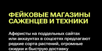 Дача с подвохом: схемы мошенничества в летний сезон - Министерство природных ресурсов и экологии