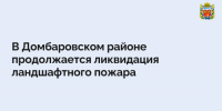 В Домбаровском районе продолжается ликвидация ландшафтного пожара - Правительство Оренбургской области