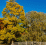 В Петрозаводске сохраняется третий класс пожарной опасности - StolicaOnego.Ru