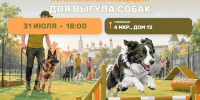 В Тобольске открывается современная площадка для выгула собак! - Департамент физкультуры, спорта и молодежной политики