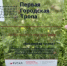Первый шаг по «Первой Городской Тропе»: в Шелехове стартовал сезон городских экскурсий - Газета Шелеховский вестник