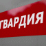 За неделю жители Тульской области добровольно сдали в Росгвардию 10 единиц оружия в рамках операции «Оружие» - Росгвардия