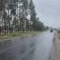 В Лисках отремонтировали дорогу на улице Воронежская - РИА Воронеж