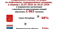 В Петербурге и Ленобласти за неделю от клещей пострадали более тысячи человек - 47Channel.Ru